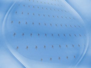 架构评审与企业管理：数字化转型的关键一环